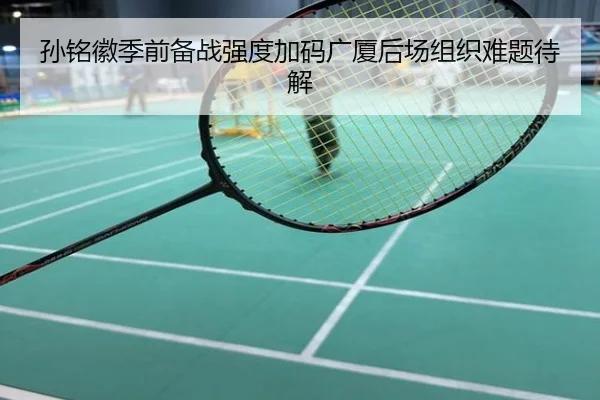 孙铭徽季前备战强度加码广厦后场组织难题待解